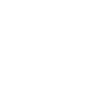 Logo IG
