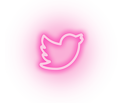 Ícone Twitter
