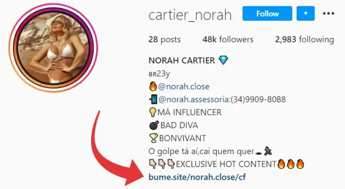 Link na bio do Instagram Link na bio do Instagram